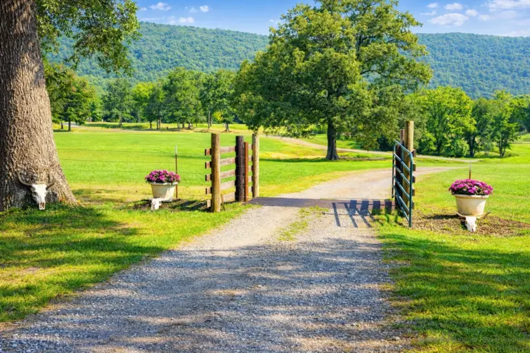 20_8189dcea-d118-4dbe-bca5-7ee28c139361