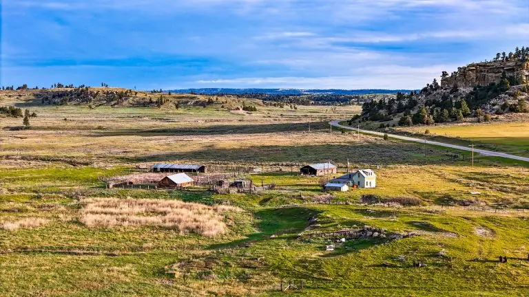 DJI_20240522064105_0061_D