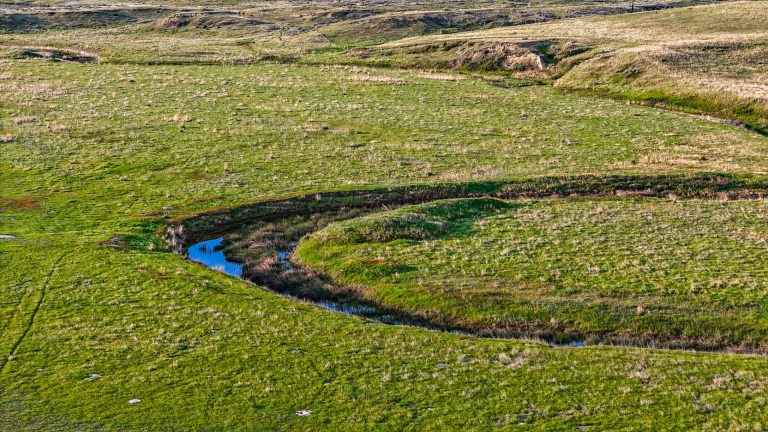 DJI_20240522064244_0063_D