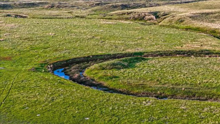 DJI_20240522064244_0063_D