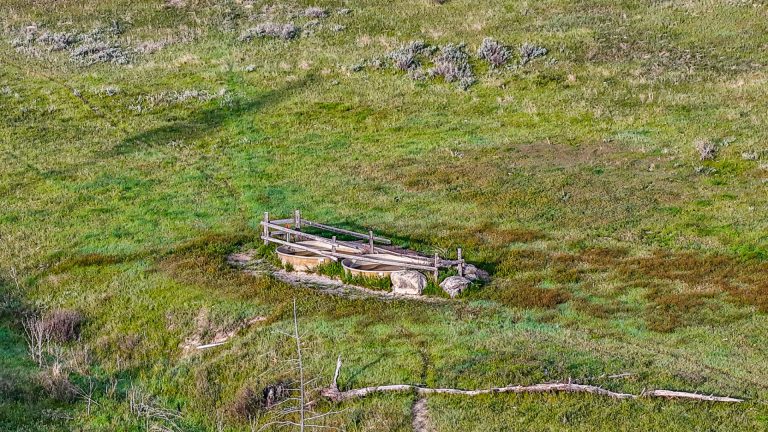 DJI_20240522064738_0066_D