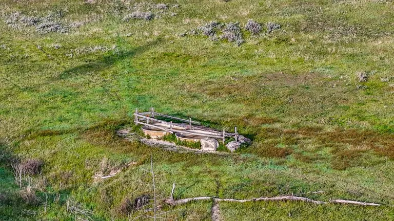 DJI_20240522064738_0066_D