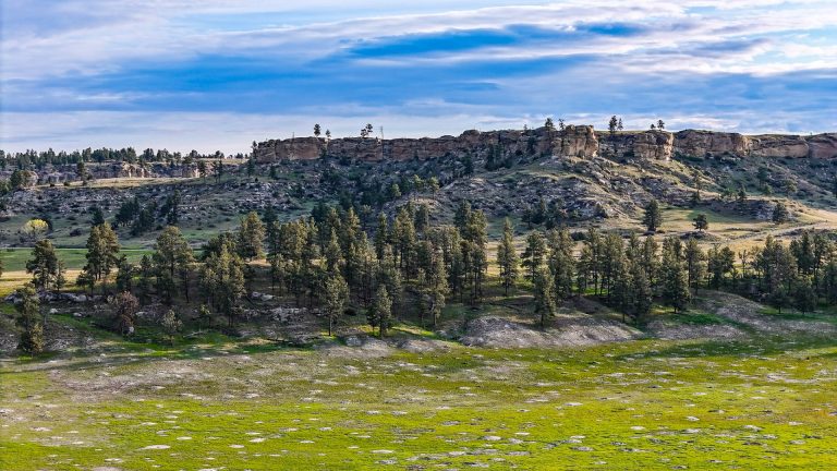 DJI_20240522065431_0072_D