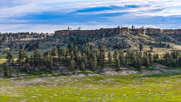 DJI_20240522065431_0072_D