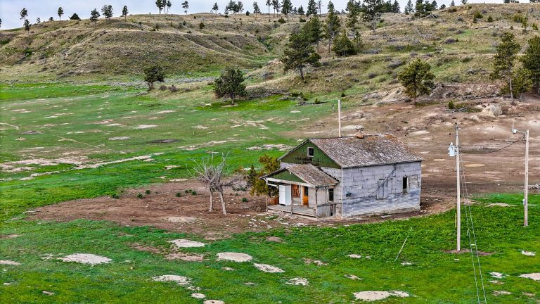 DJI_20240522072329_0081_D