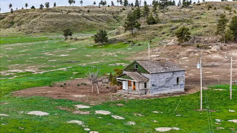 DJI_20240522072329_0081_D