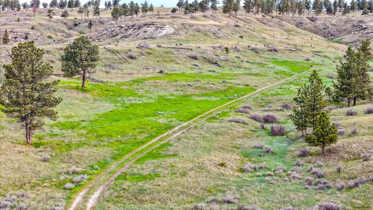 DJI_20240522072403_0082_D (1)