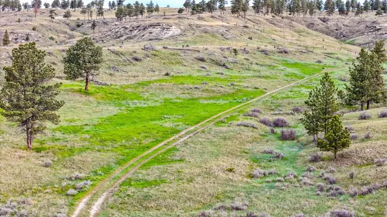 DJI_20240522072403_0082_D (1)