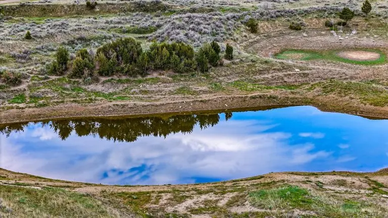 DJI_20240522075122_0085_D (1)