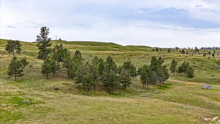 DJI_20240522075356_0086_D