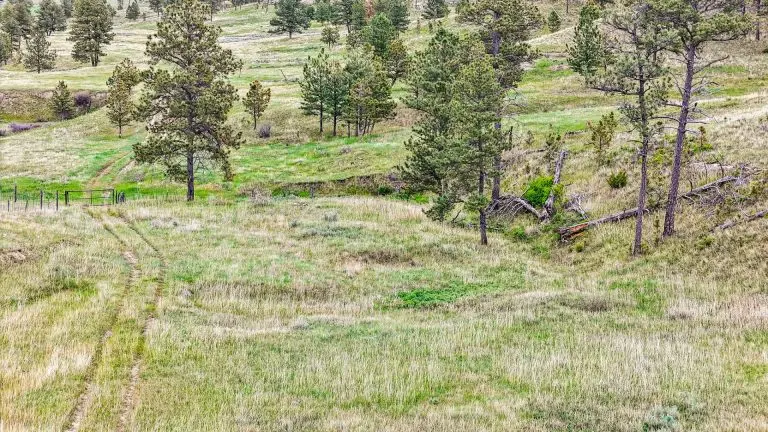 DJI_20240522075432_0088_D