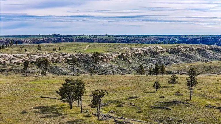 DJI_20240522090346_0090_D