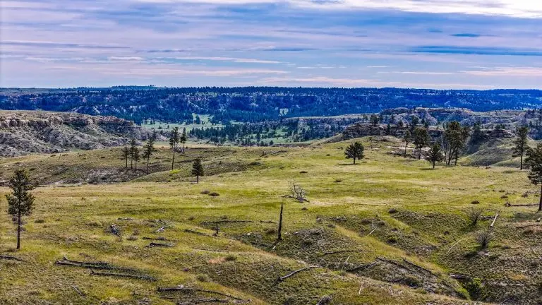 DJI_20240522090350_0091_D