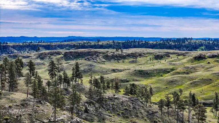 DJI_20240522090355_0092_D