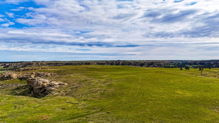 DJI_20240522091038_0096_D