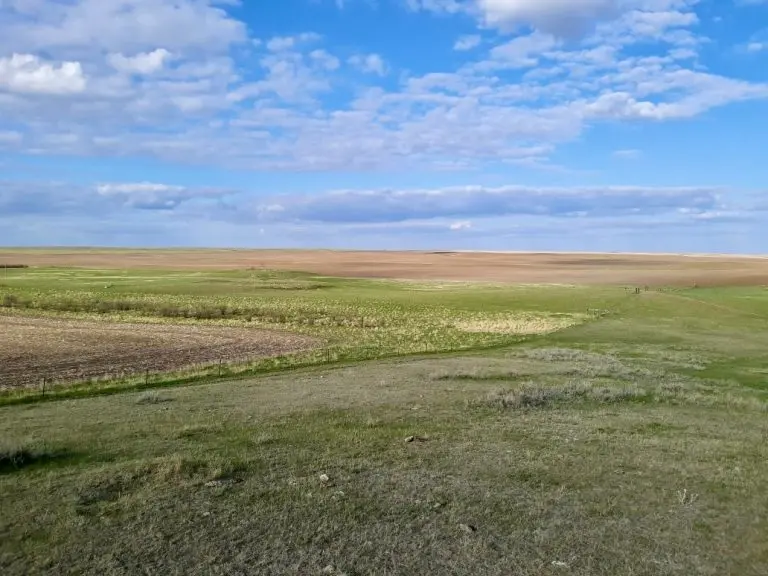 stagecoach road ranch