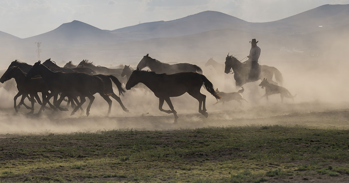 Where to watch the latest episode of Yellowstone