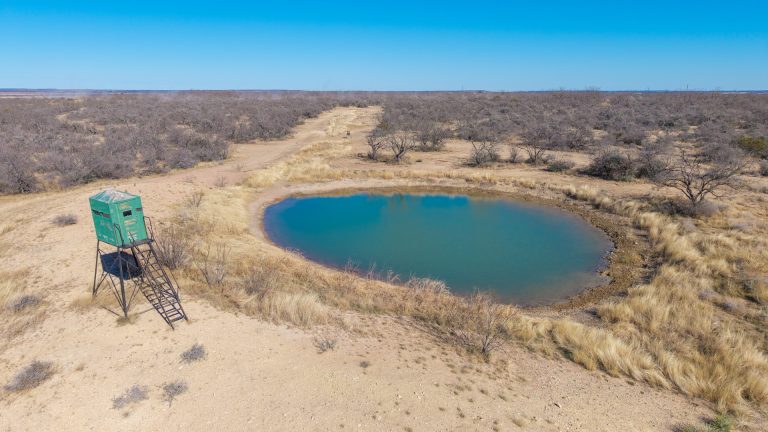 ranch in coleman county