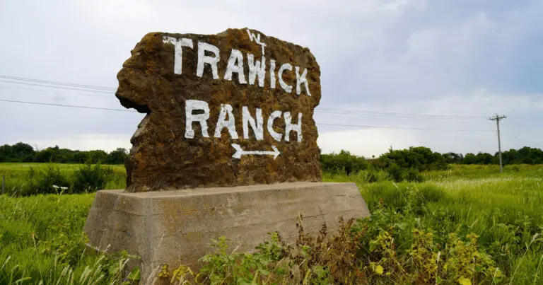 Trawick Ranch Auction