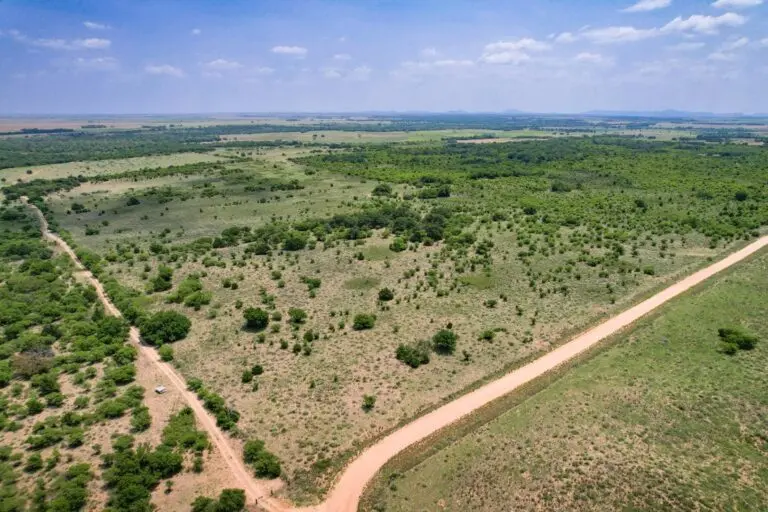 grazing land in greer county