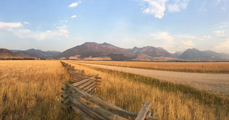 History of Ranching in Montana