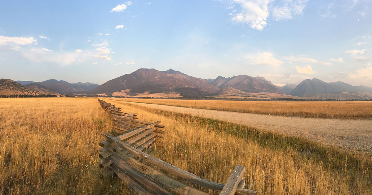 History of Ranching in Montana