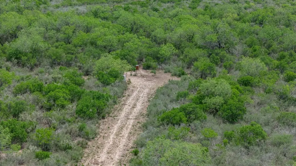 Duval County, TXgame ranch now available for sale