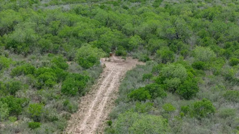 Duval County, TXgame ranch now available for sale