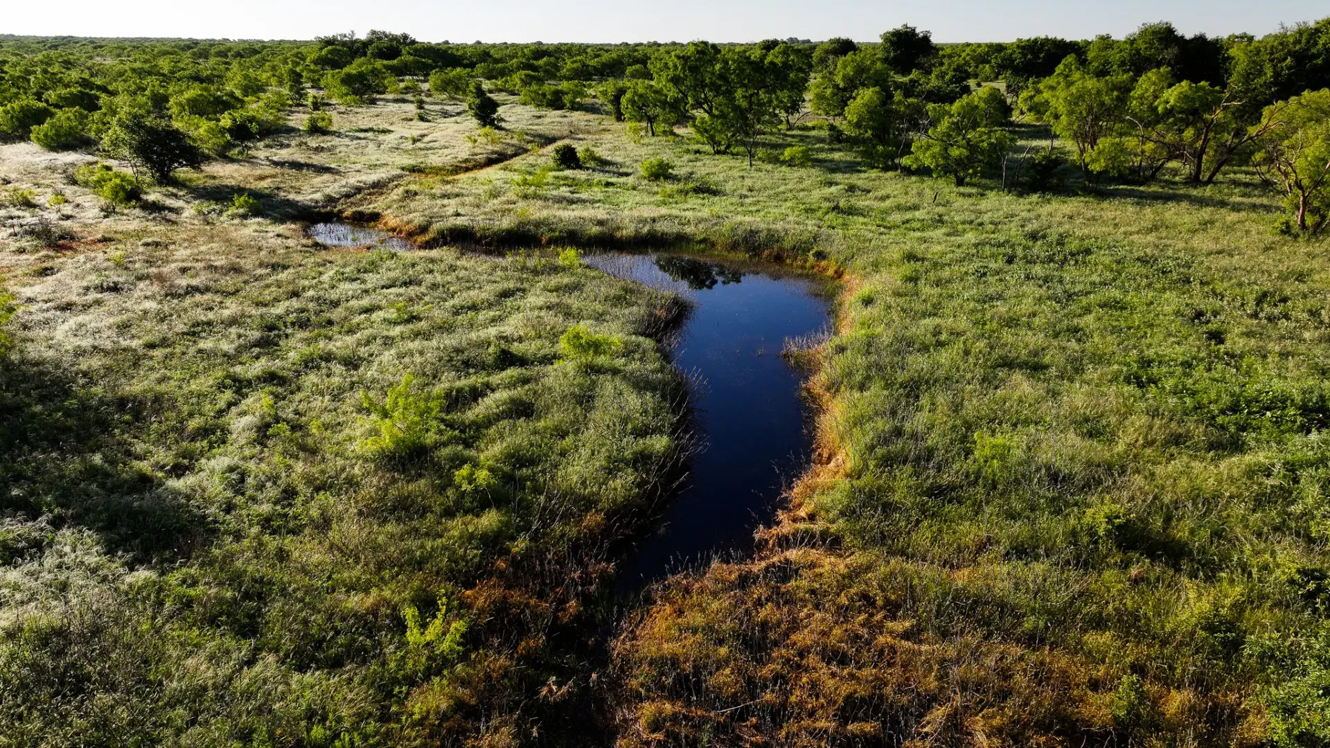 Kickapoo Tx County Kickapoo Creek Ranch - 355 Acres of Hunting & Ranching in Archer County ...
