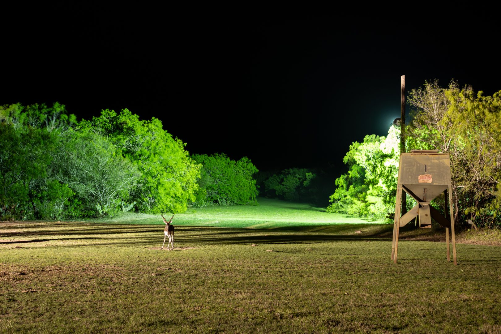 Featured Ranches for Sale in Texas 2025