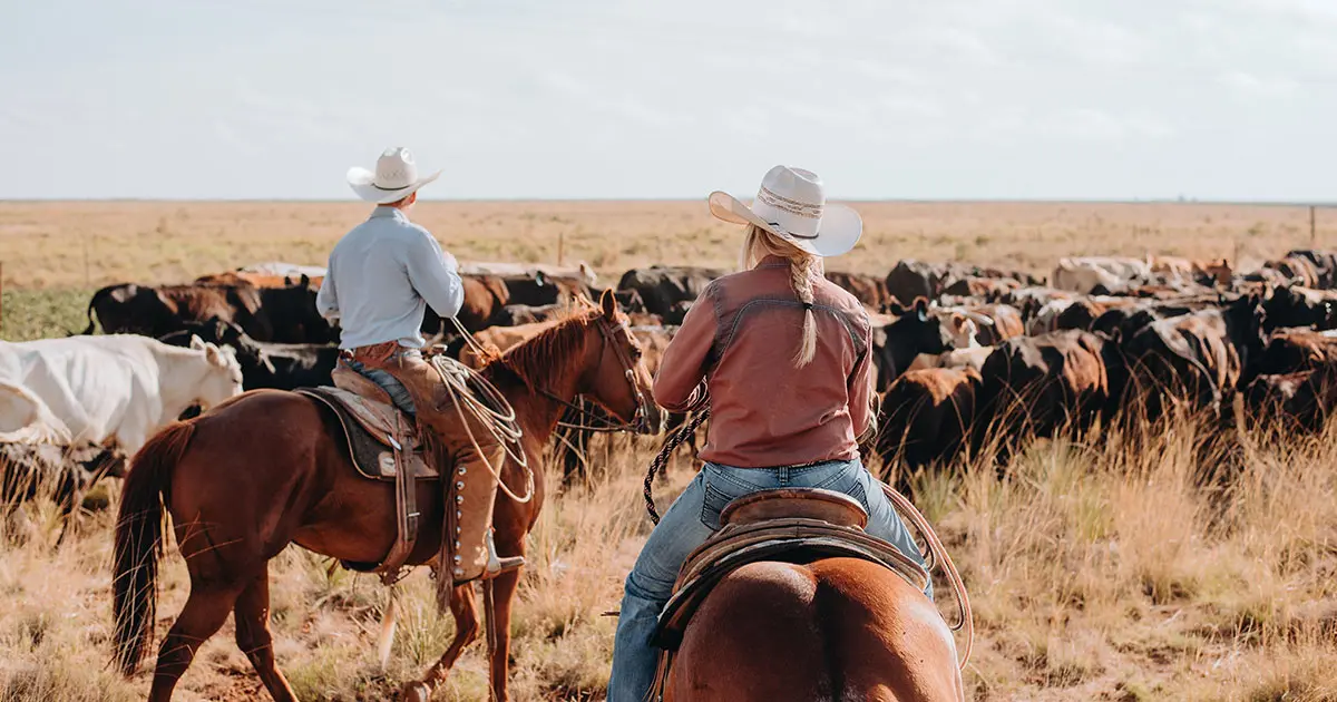 Benefits of owning a ranch in Texas