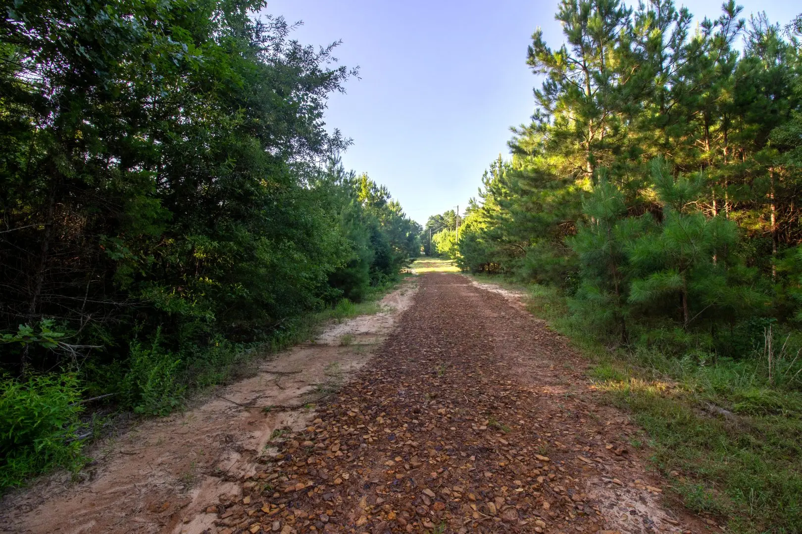 Reed Ranches Mi Reed Ranch - East Texas Hunting & Timberland Property for Sale | UCRP