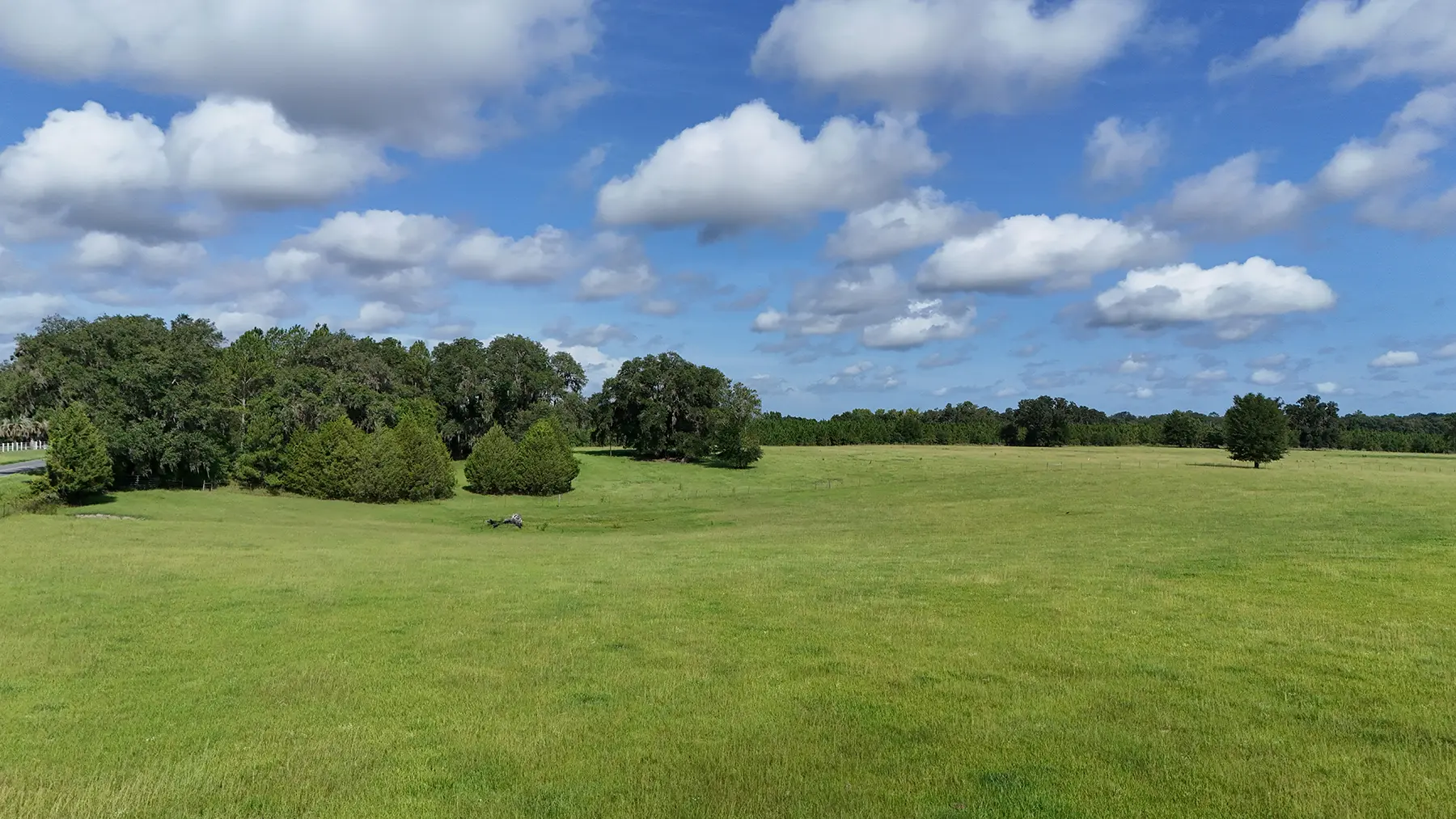85-Acre Columbia County Farm/Ranch with Improved Pasture | UCRP