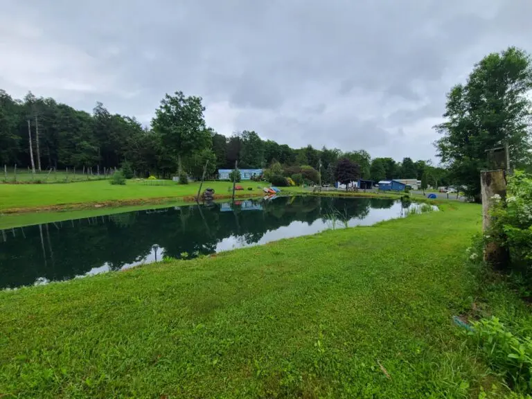 02_f0adbb1c-4dc6-4064-ab5b-4505ac865125