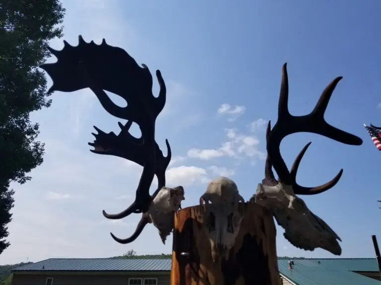 06_9a168e7a-38f8-49f7-a488-5ae24106b4c5