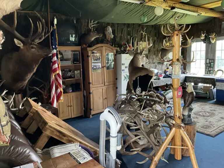 10_83517c44-4f6d-429a-8a95-004d4c8a6f3b