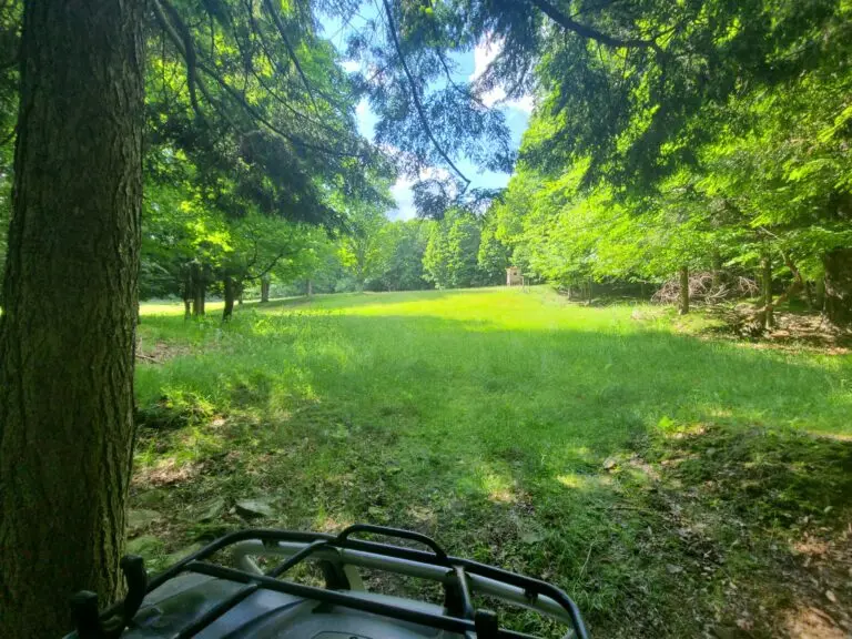 11_d65f7c12-1e20-4946-9e62-bb294fee8c40