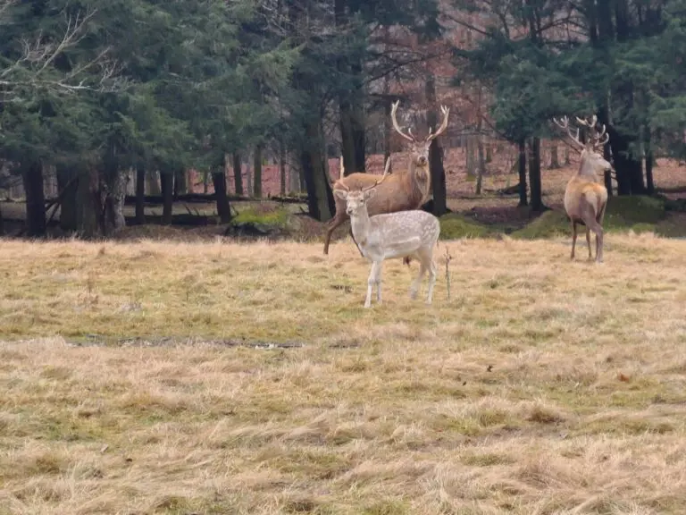 12_b96e814a-d462-4e8c-9808-a0d27ce6789d