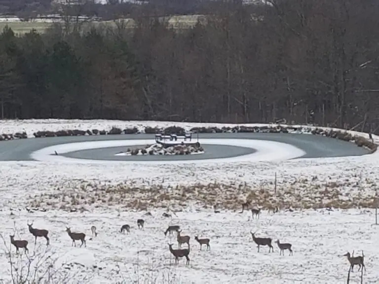 13_53d61f97-fa1b-46bd-9fae-f67022f35b34