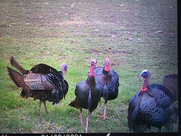 14_22861b74-534c-46de-8611-7f73cabb00c2