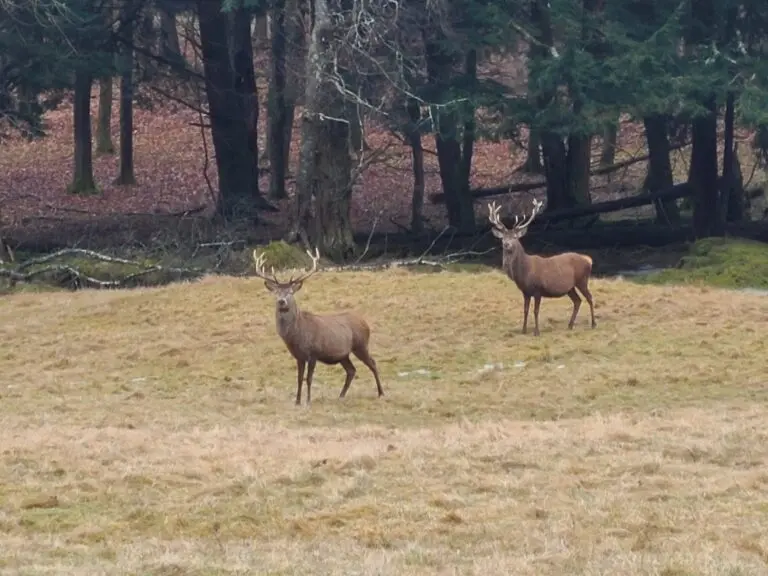 15_34b18be0-f2a6-410d-a3a2-09ef70ee45ee