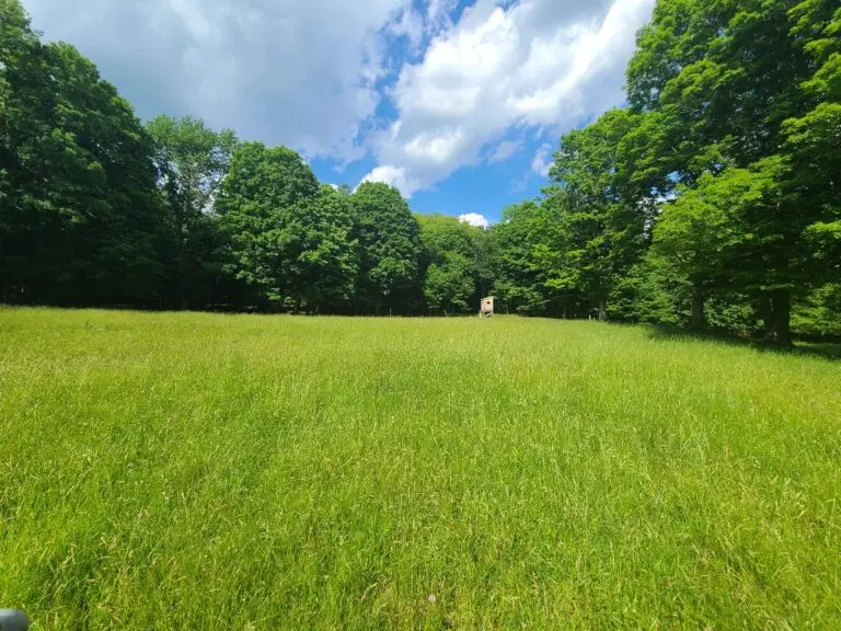 19_75fb6877-b373-47f1-a3dd-a8b52bcab4be