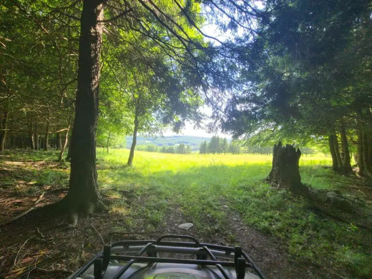 20_ff847d8b-faad-4688-b388-7b3d0415e697