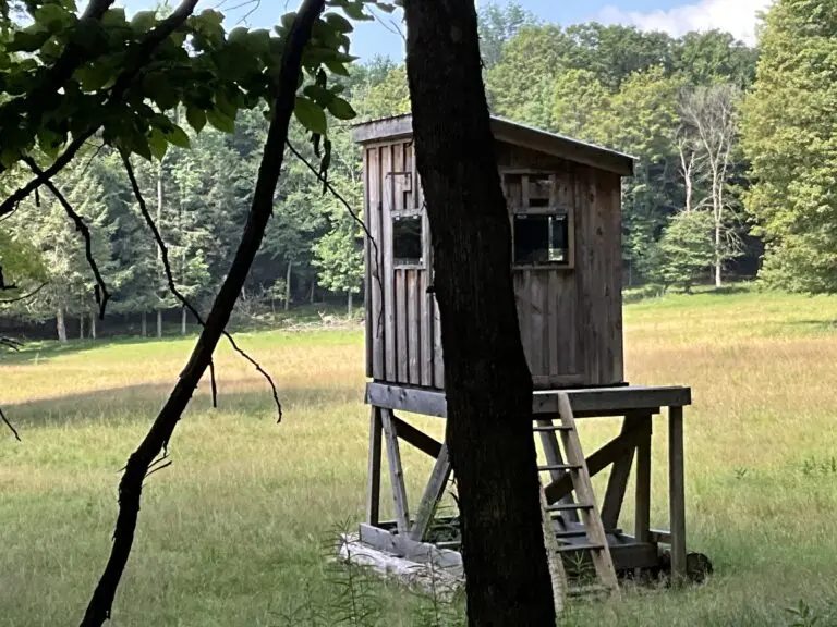 22_d6879c35-2738-40f1-895e-f7167e019147