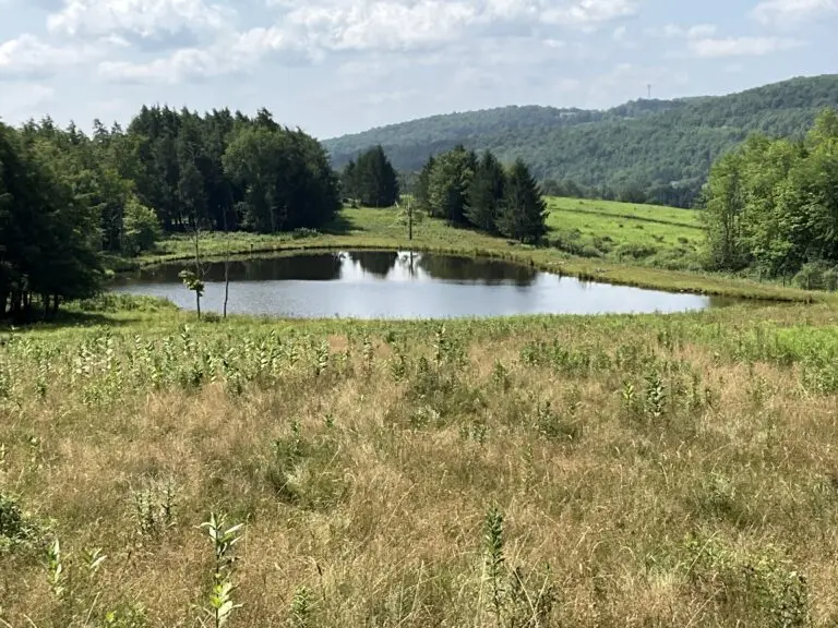 23_7e37682c-9418-4c44-98ad-8178e4539797