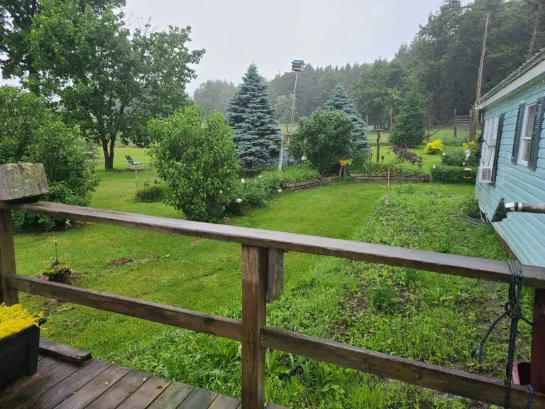 28_5ad9a536-0b18-4d63-8044-e361729969fe