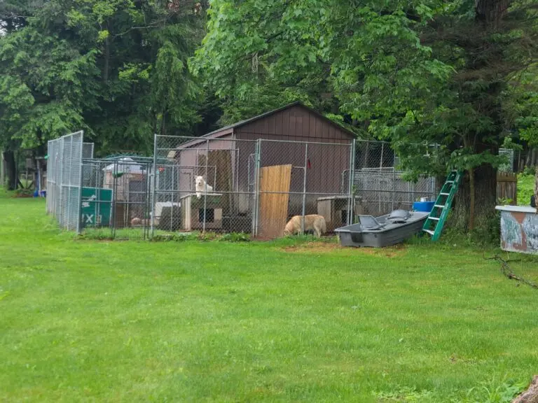 30_aa399ced-1f2c-48af-8d4c-3f7eaf4cd625