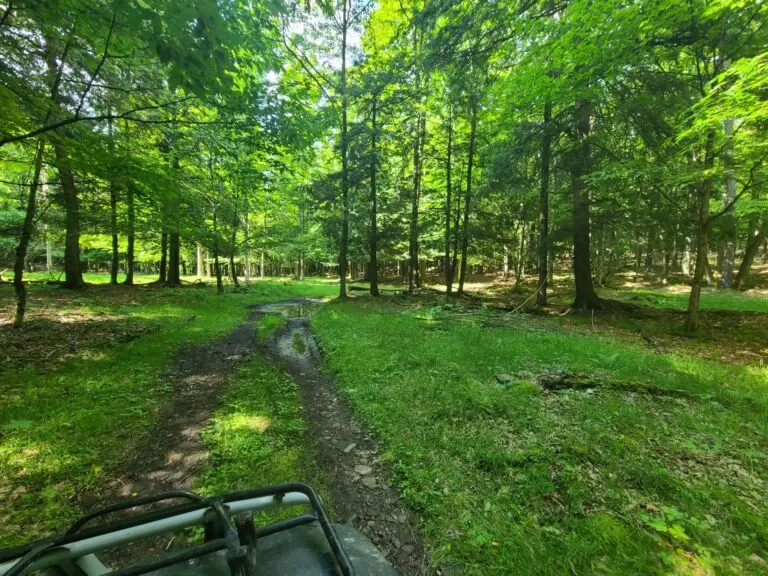 34_5e8f4a8e-c1e9-45cc-9926-0e0759011231