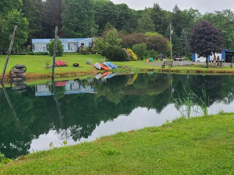 35_3f063189-4e6c-46f6-8cfd-6724eaa7718e