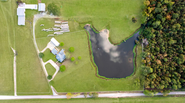 1136 CR 2001 New Boston